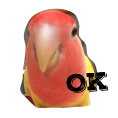 [LINEスタンプ] piiiiichiiii