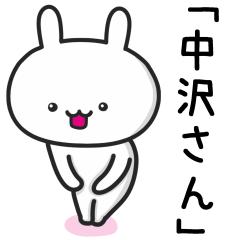 [LINEスタンプ] 中沢(なかざわ)さんが使うウサギ