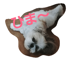 [LINEスタンプ] まろんふぁみりー