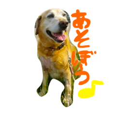 [LINEスタンプ] アシタカのアイドル