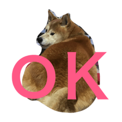 [LINEスタンプ] 柴犬アルテマ