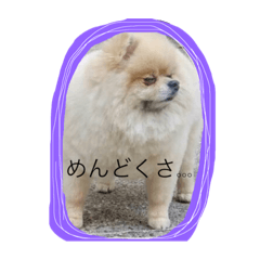 [LINEスタンプ] ぽん太＆てぃお