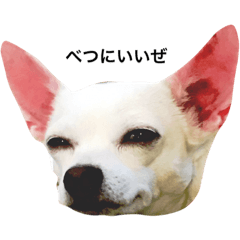 [LINEスタンプ] ロコぴ
