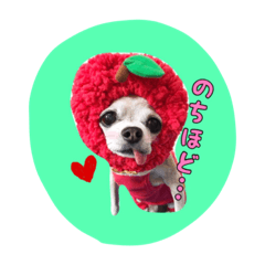 [LINEスタンプ] ruby sticker 3