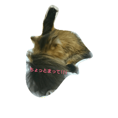 [LINEスタンプ] ぼくはミルコ