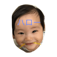 [LINEスタンプ] 甲 no1