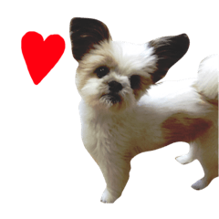 [LINEスタンプ] チロりん