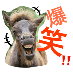 [LINEスタンプ] 馬♡御崎馬 4