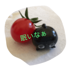 [LINEスタンプ] yunpicture