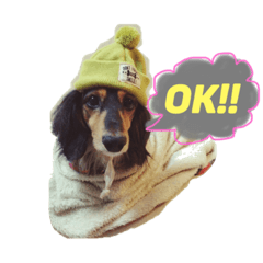 [LINEスタンプ] 今日のわんこ＊恋(レン)