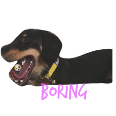 [LINEスタンプ] enjoy dachshund