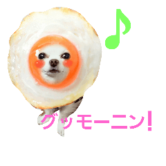 [LINEスタンプ] 実写 わんこライフ2