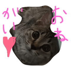 [LINEスタンプ] nono's kimochi