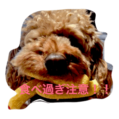 [LINEスタンプ] まーるのハッピーライフ