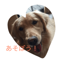 [LINEスタンプ] 瑠花ちゃんと動物たち