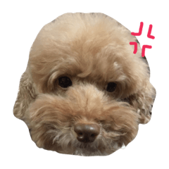 [LINEスタンプ] Cody's life