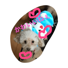 [LINEスタンプ] 愛ある家族