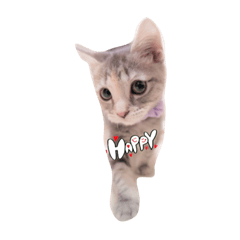 [LINEスタンプ] いぶスタ