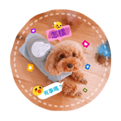 [LINEスタンプ] lovely puppy doodoo