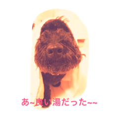 [LINEスタンプ] マルオさん