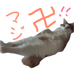 [LINEスタンプ] Plus de Maria
