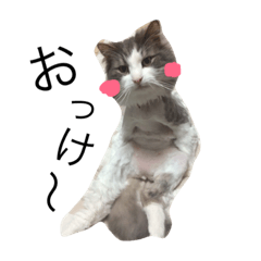 [LINEスタンプ] 花家の子たち