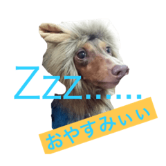 [LINEスタンプ] キェポン＆愉快な仲間達1