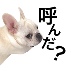 [LINEスタンプ] フレブルはなぷぅ 3