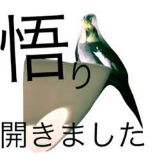 [LINEスタンプ] るなちゃん。