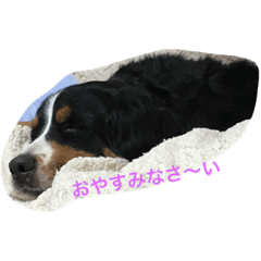 [LINEスタンプ] merumari