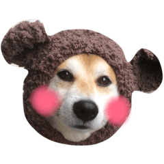 [LINEスタンプ] 柴犬オルちゃん
