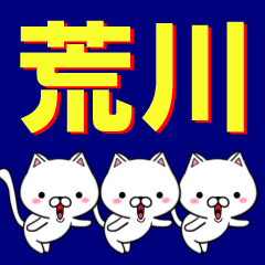 [LINEスタンプ] 超★荒川(あらかわ・あらがわ)なネコ