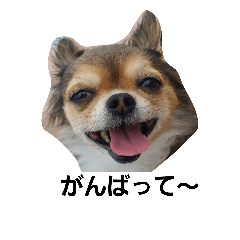 [LINEスタンプ] まかろん