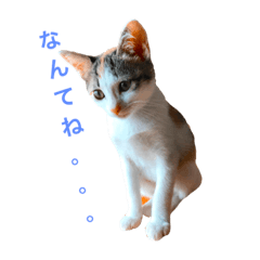 [LINEスタンプ] ミケニコ2