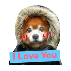 [LINEスタンプ] LoveDogDog