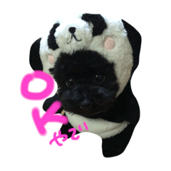 [LINEスタンプ] toy poodle RITA