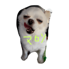 [LINEスタンプ] ままろんろん