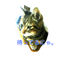 [LINEスタンプ] taotaoスタンプ