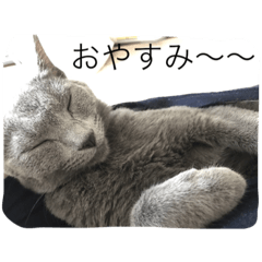 [LINEスタンプ] みゅうの日常