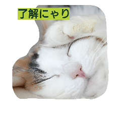 [LINEスタンプ] Holmes family No.2
