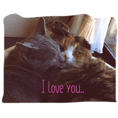 [LINEスタンプ] 猫好きのためのリアル猫スタンプ第1弾