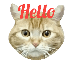 [LINEスタンプ] ito-cha