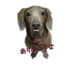 [LINEスタンプ] mouse and monkey