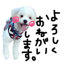 [LINEスタンプ] おもちくんです。
