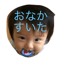 [LINEスタンプ] イヌヅカゾク1