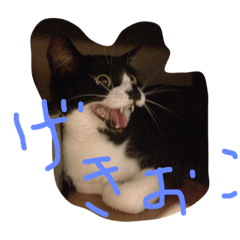 [LINEスタンプ] 小山田商事の徒然日記