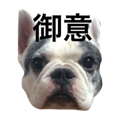 [LINEスタンプ] フレブル♫小鉄♫