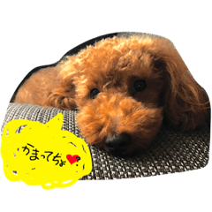 [LINEスタンプ] fam！！！3