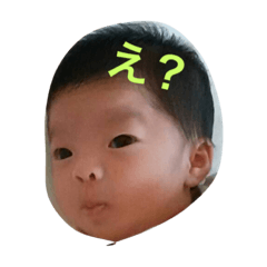 [LINEスタンプ] sora everyday