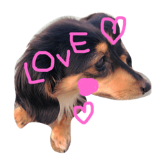 [LINEスタンプ] くぅあんどらむね